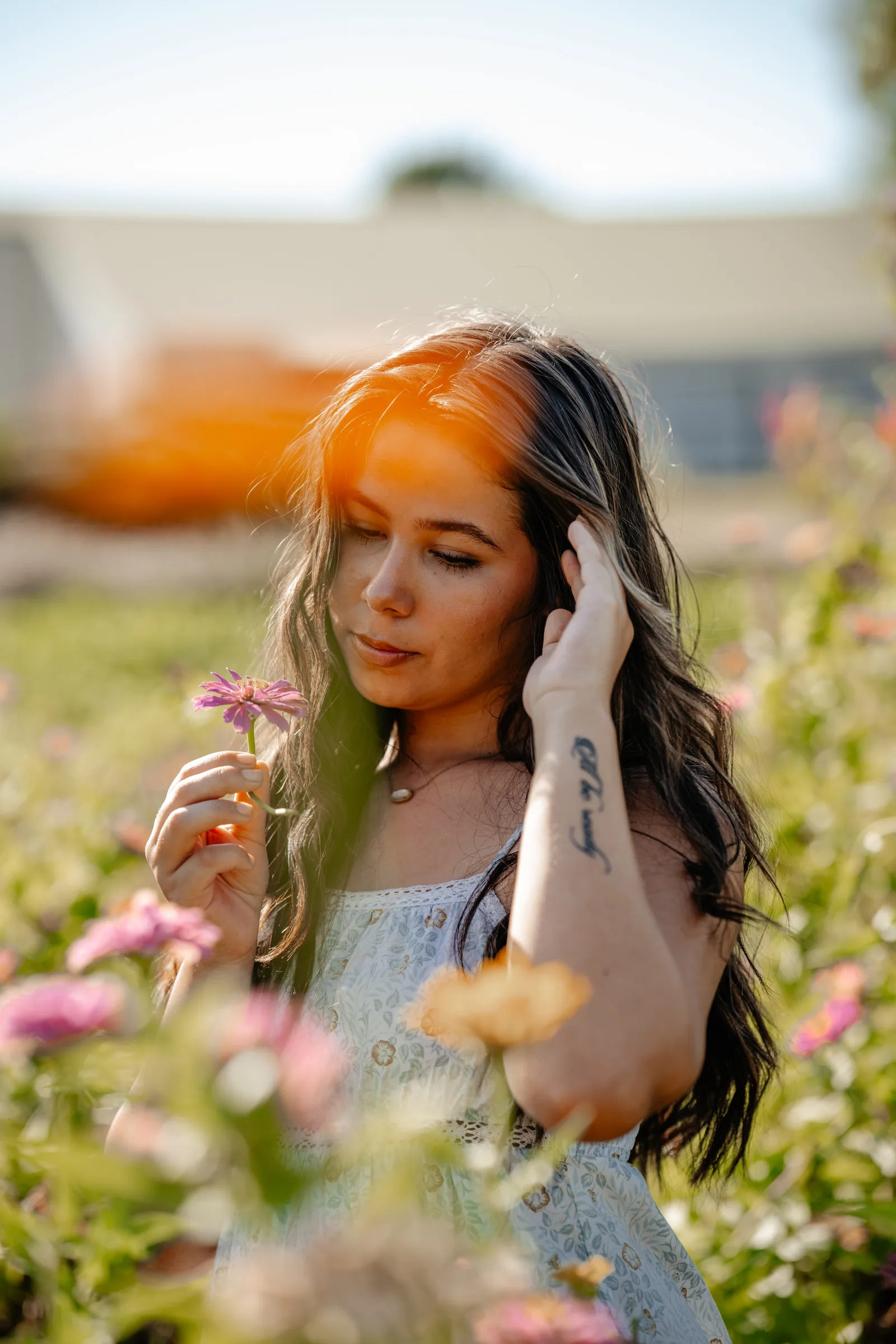 Senior girl holding flower in flower field golden hour Oklahoma