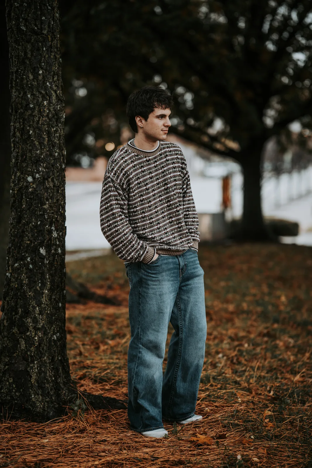 Senior guy autumn tree portrait Oklahoma senior photography